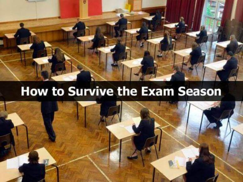 How to Survive the Exam Season